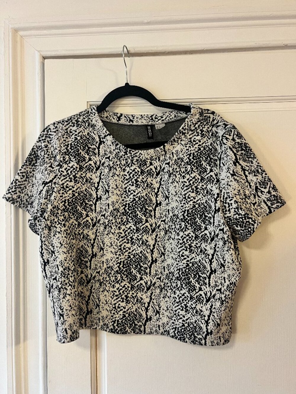H&M Divided Snake Print Crop Top